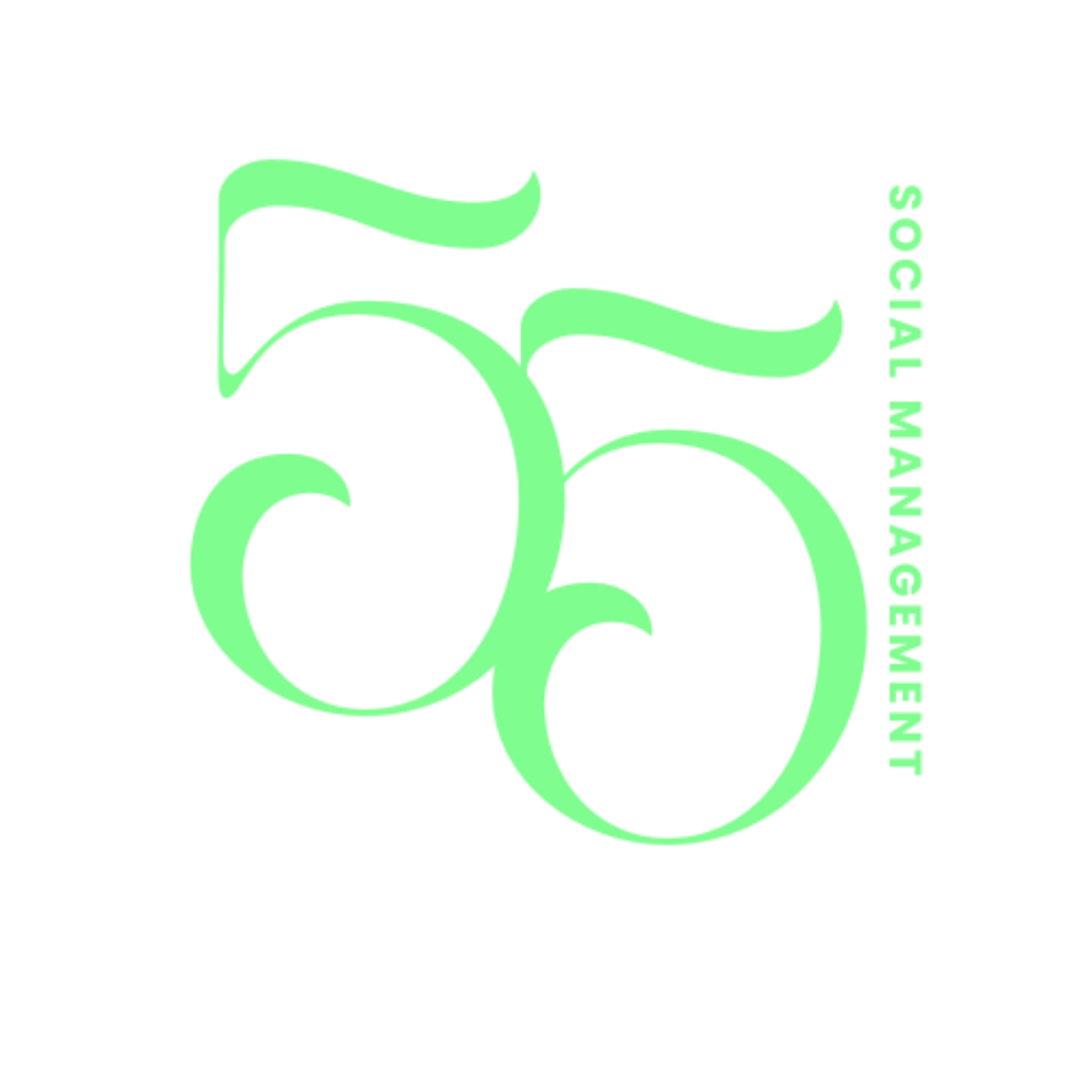 55 Social Management Logo